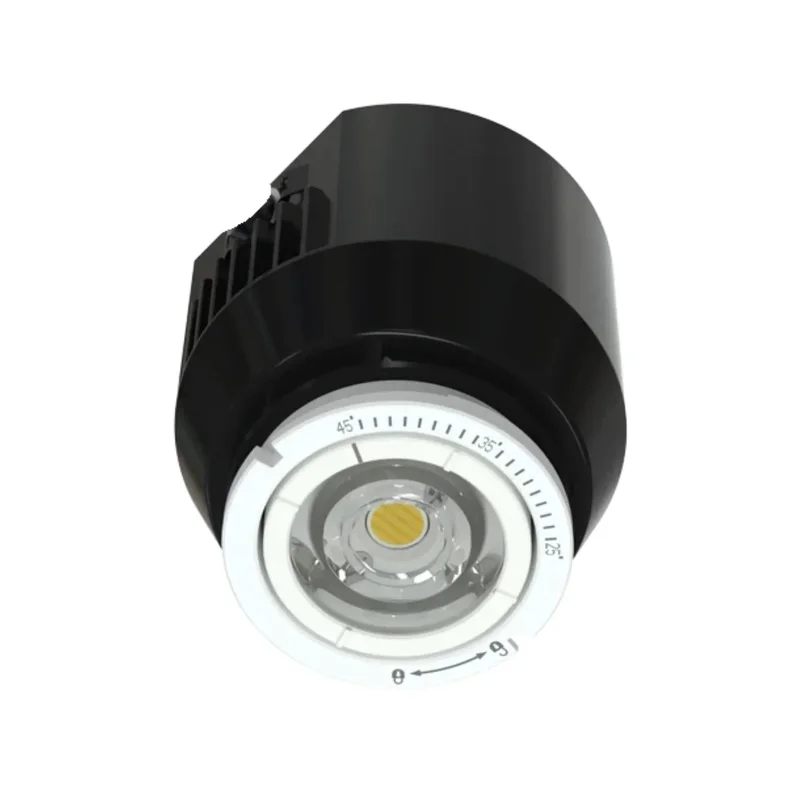 beeslighting32660595