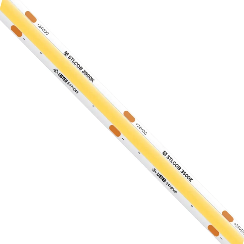 beeslighting32661244