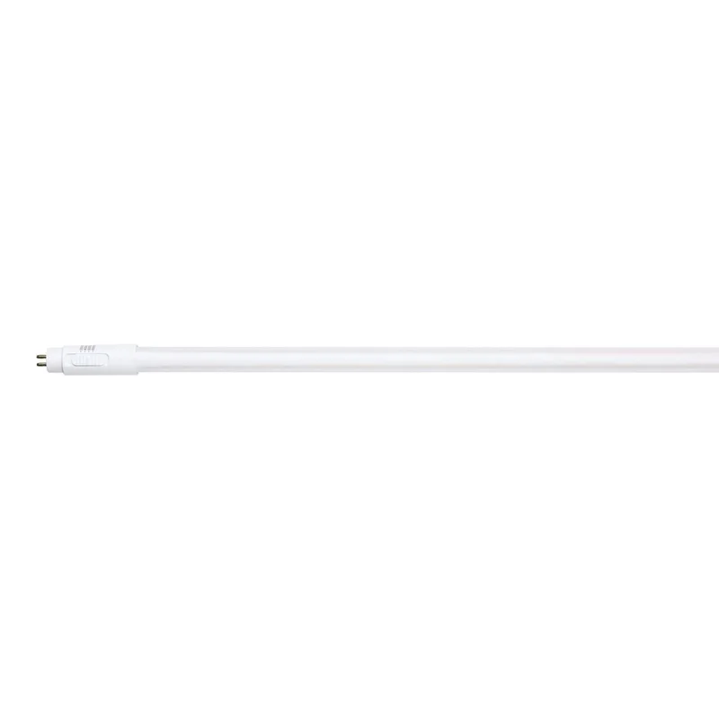 beeslighting32661722