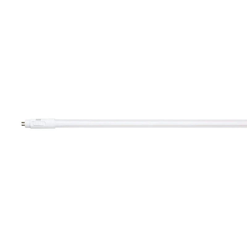 beeslighting32661725