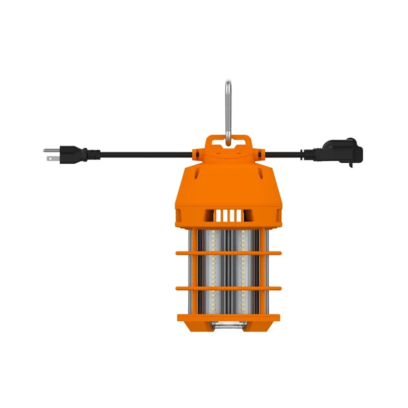 beeslighting32662850