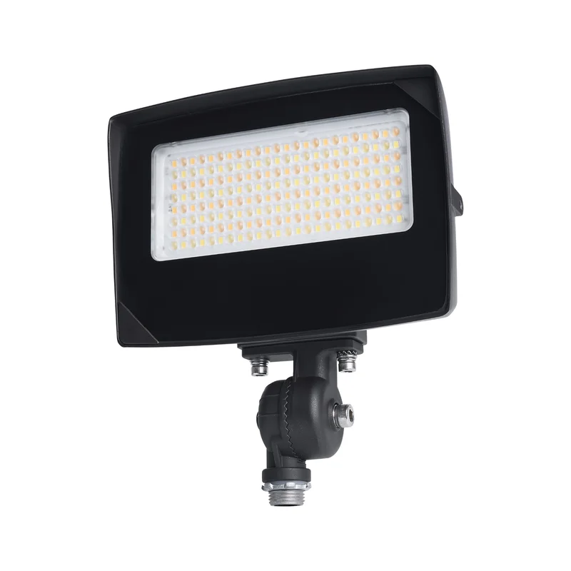 beeslighting32666423