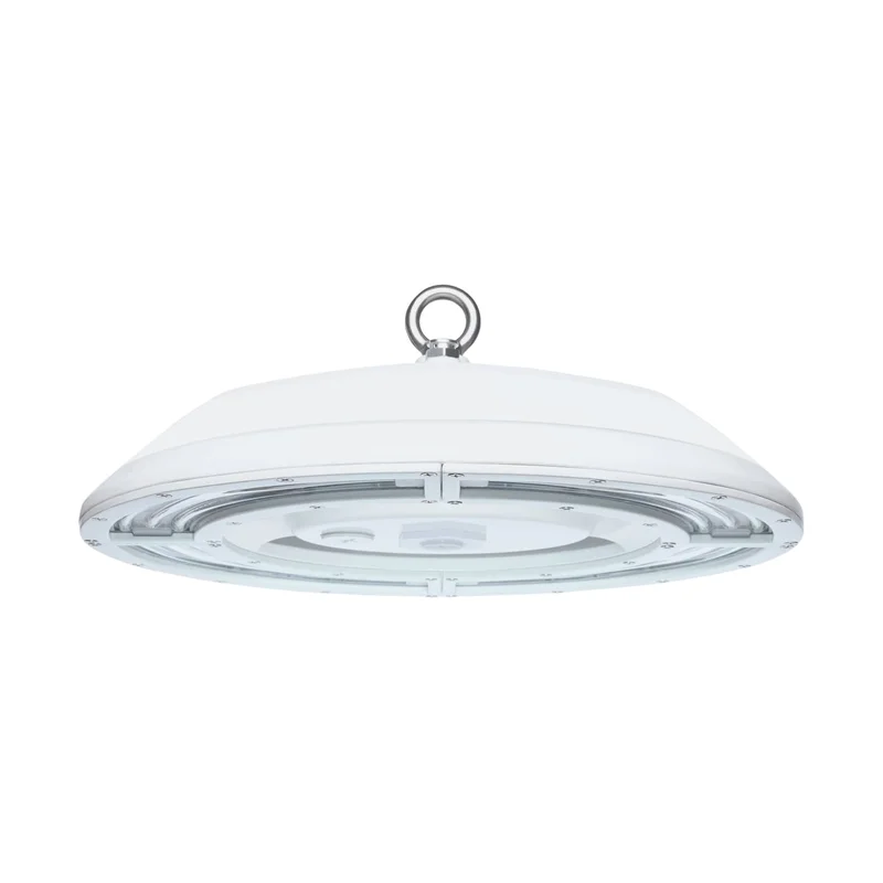 beeslighting32666459