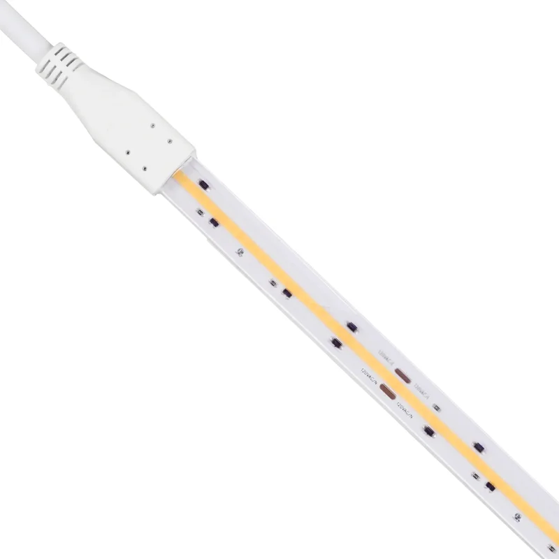 beeslighting32666856