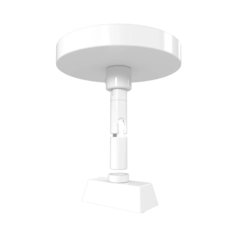 beeslighting32667912