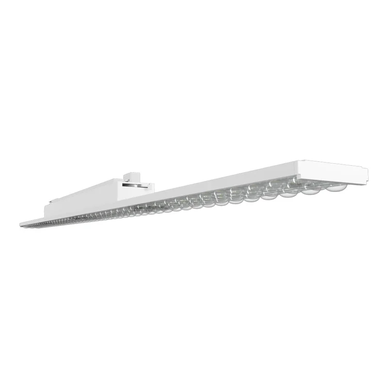beeslighting32668037