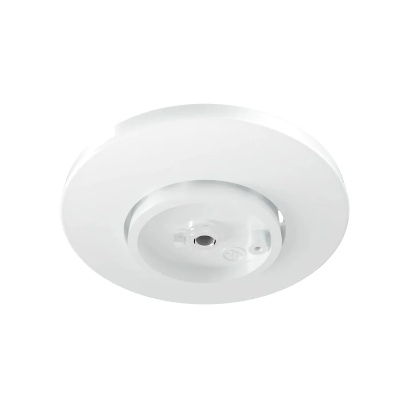 beeslighting32668153