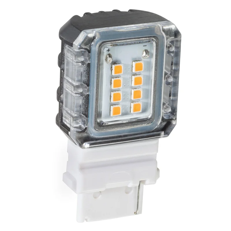 beeslighting32668953