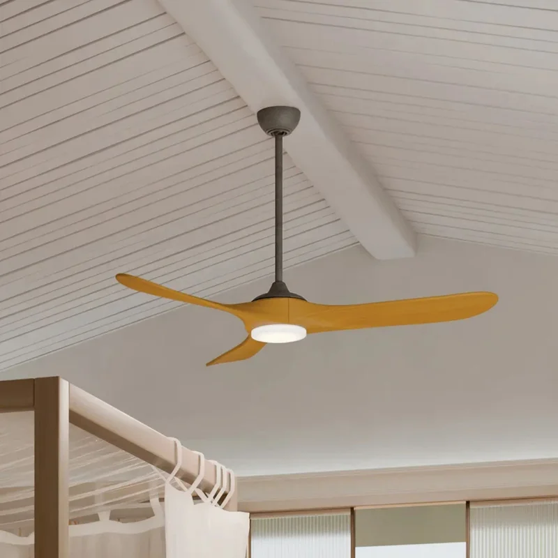 beeslighting32669071