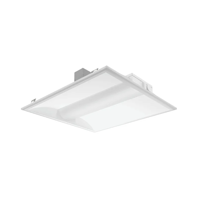 beeslighting32669705