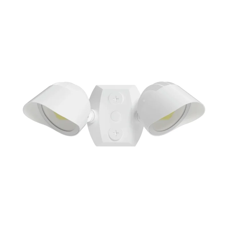 beeslighting32672179
