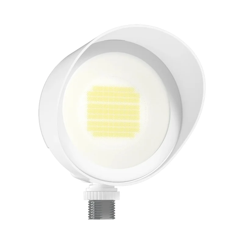 beeslighting32672209