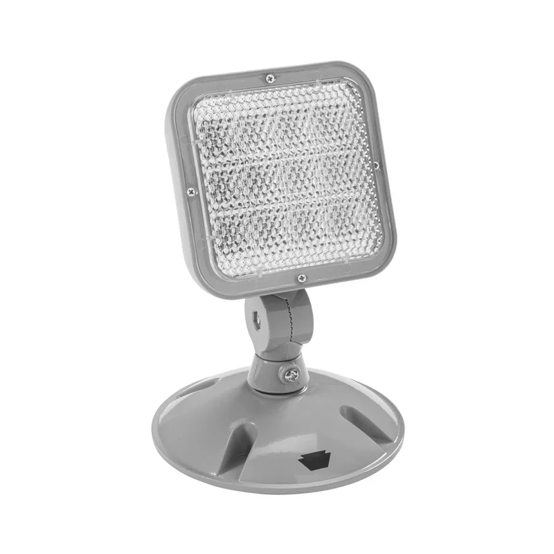 beeslighting32689899