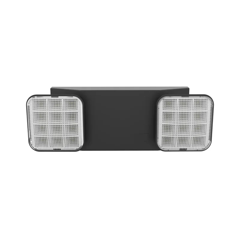 beeslighting32689924