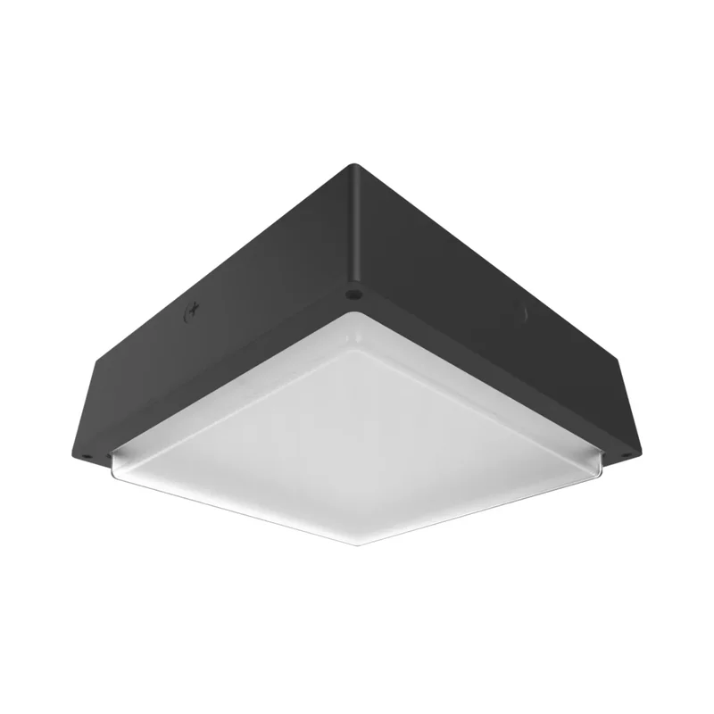 beeslighting32691166