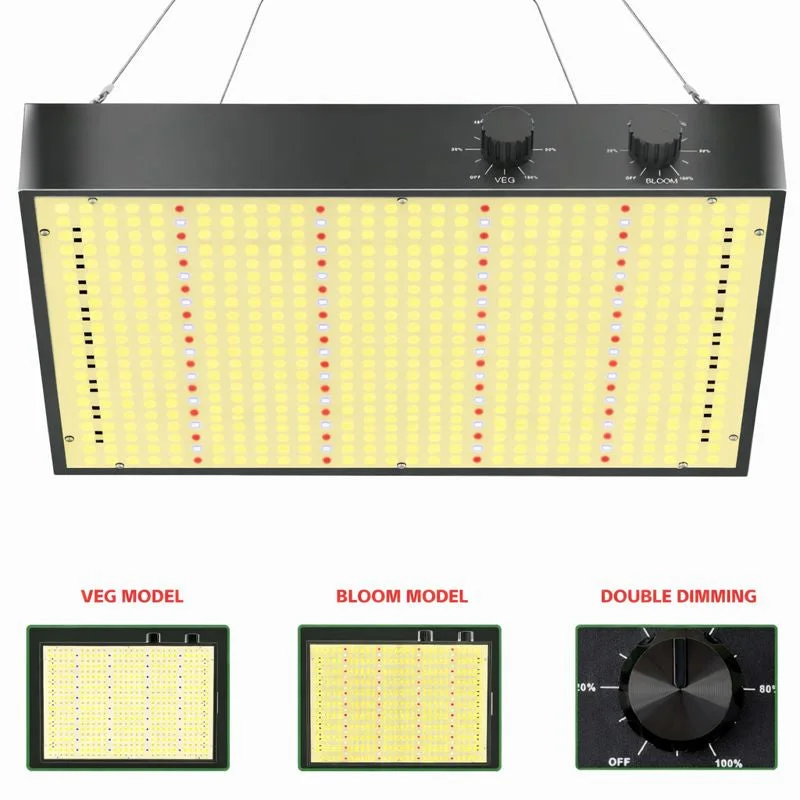 ledlightsworld2498770