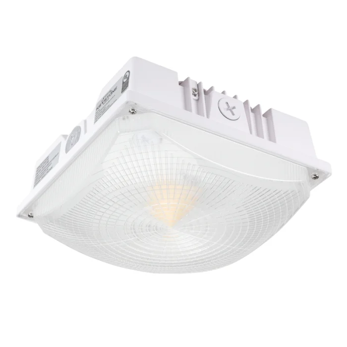 prolighting1-2745014