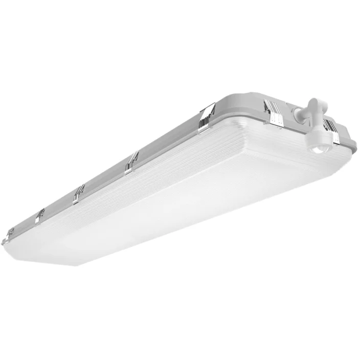prolighting2-2701930
