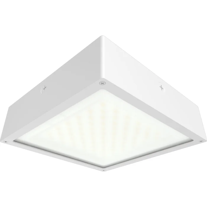 prolighting2-2707085