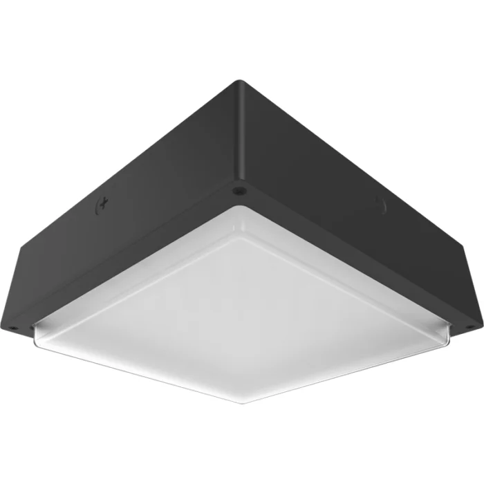 prolighting2-2707196