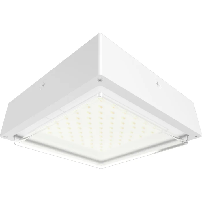 prolighting2-2707226